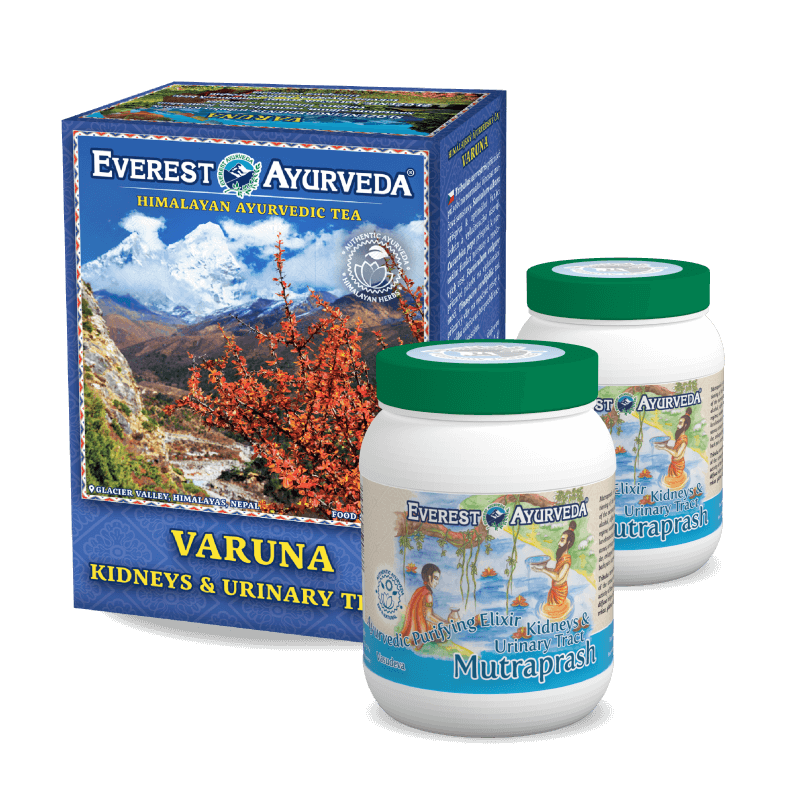 Vese & húgyutak méregtelenítése