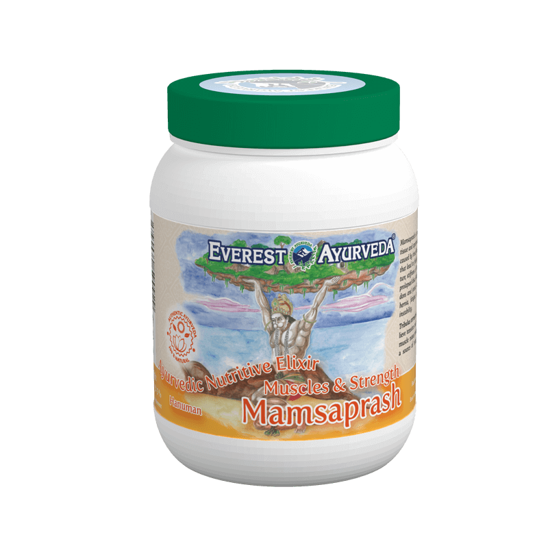 MAMSAPRASH | Izomzat & erő